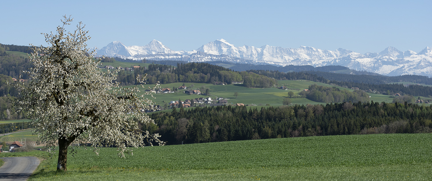 Alpenkette von Worb aus